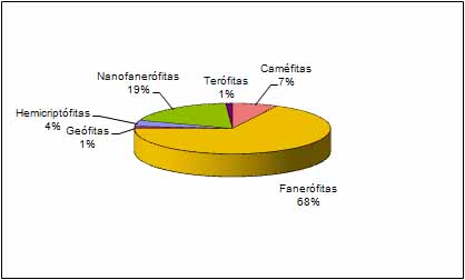 Figura 4
